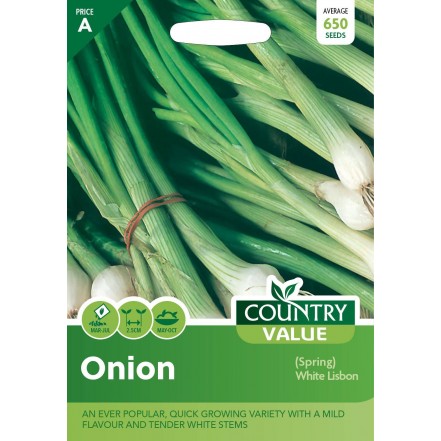 Mr.Fothergill's Onion Spring White Lisbon Hardy